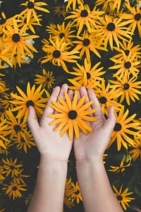 pexels-photo-1697912-1697912 Close-up of hands holding vibrant yellow daisies, showcasing natural beauty and floral pattern.