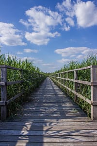 Straight Path Calm path through nature with blue sky