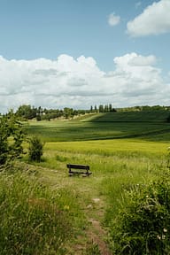 pexels-photo-25696641-25696641 A peaceful countryside landscape with a solitary bench amidst lush greenery under a vibrant blue sky.