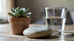 A close-up of a smooth stone, a potted succulent, and a glass of water on a wooden table. Soft natural light highlights the textures, with a blurred background showing a quiet room.